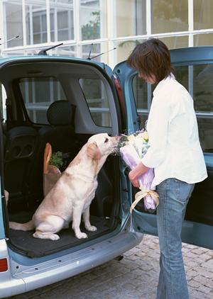 2026年最新版 一宮市で未使用車をお得に購入するための完全ガイド