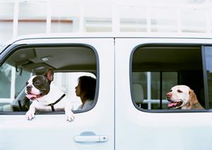 熊本エリアの免許合宿プランは4種類