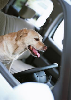 2026年最新版｜名古屋で車買取を成功させるための最強ガイド